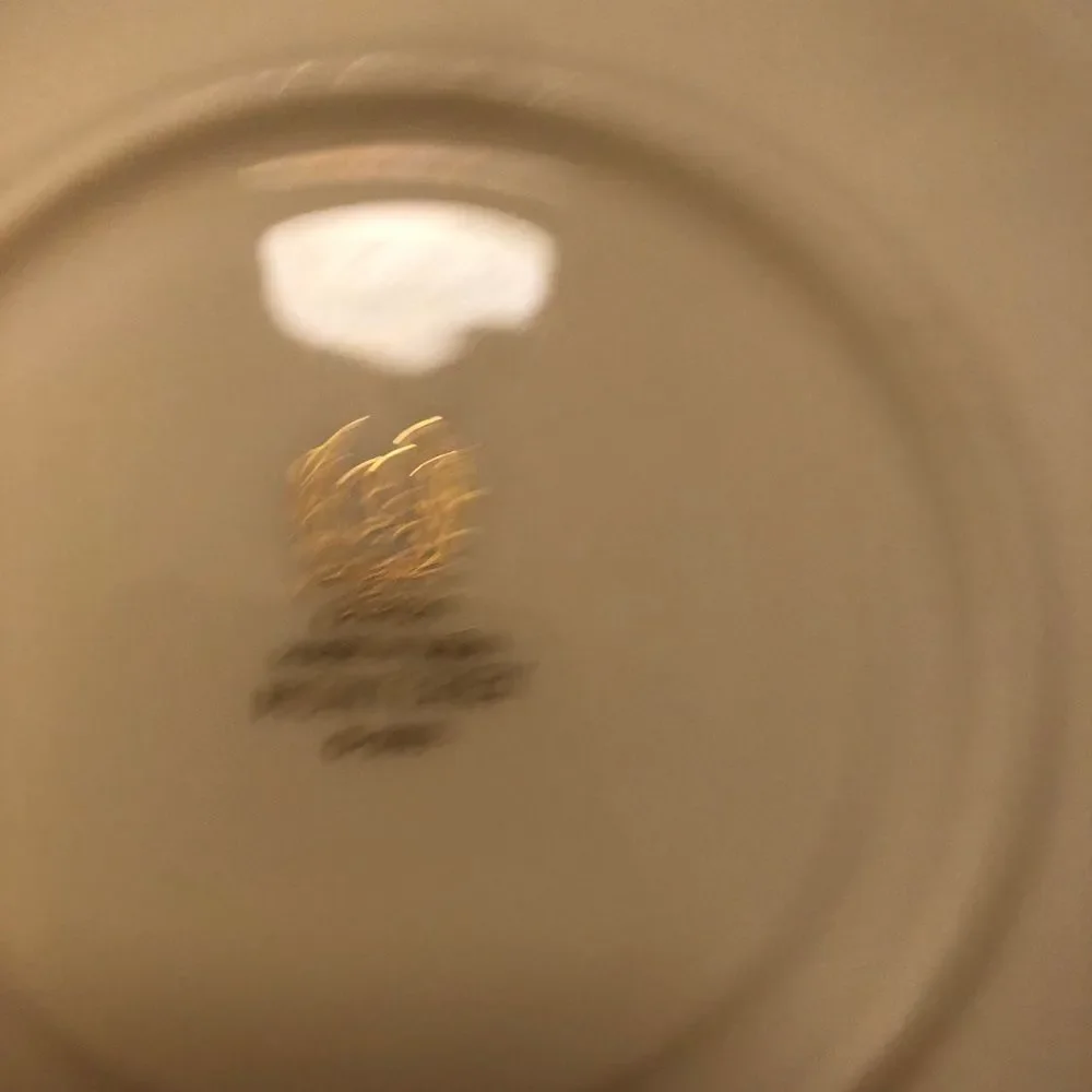 Vintage Lenox Monterey Teacup and Saucer